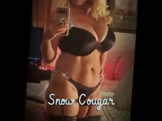 Snow_Cougar